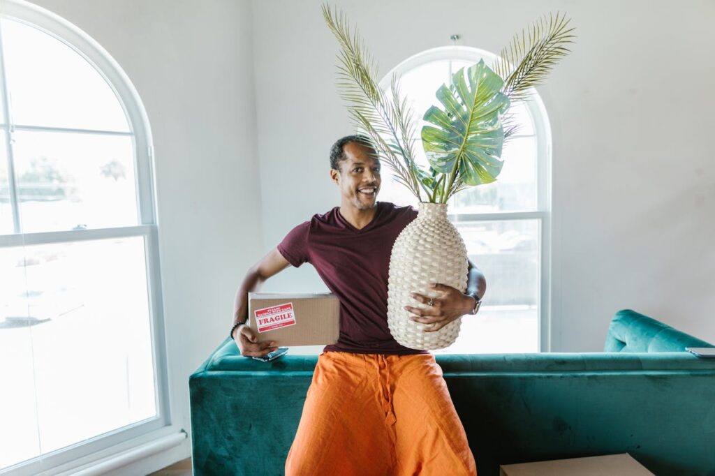 man moving home carrying box and plant